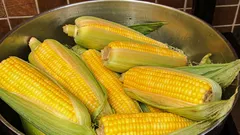 Come e per quanto tempo si cuoce il mais – e cosa è meglio aggiungere all'acqua per renderlo morbido