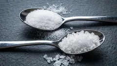 Come scegliere il sale giusto per cucinare e valorizzare al massimo il sapore dei tuoi piatti